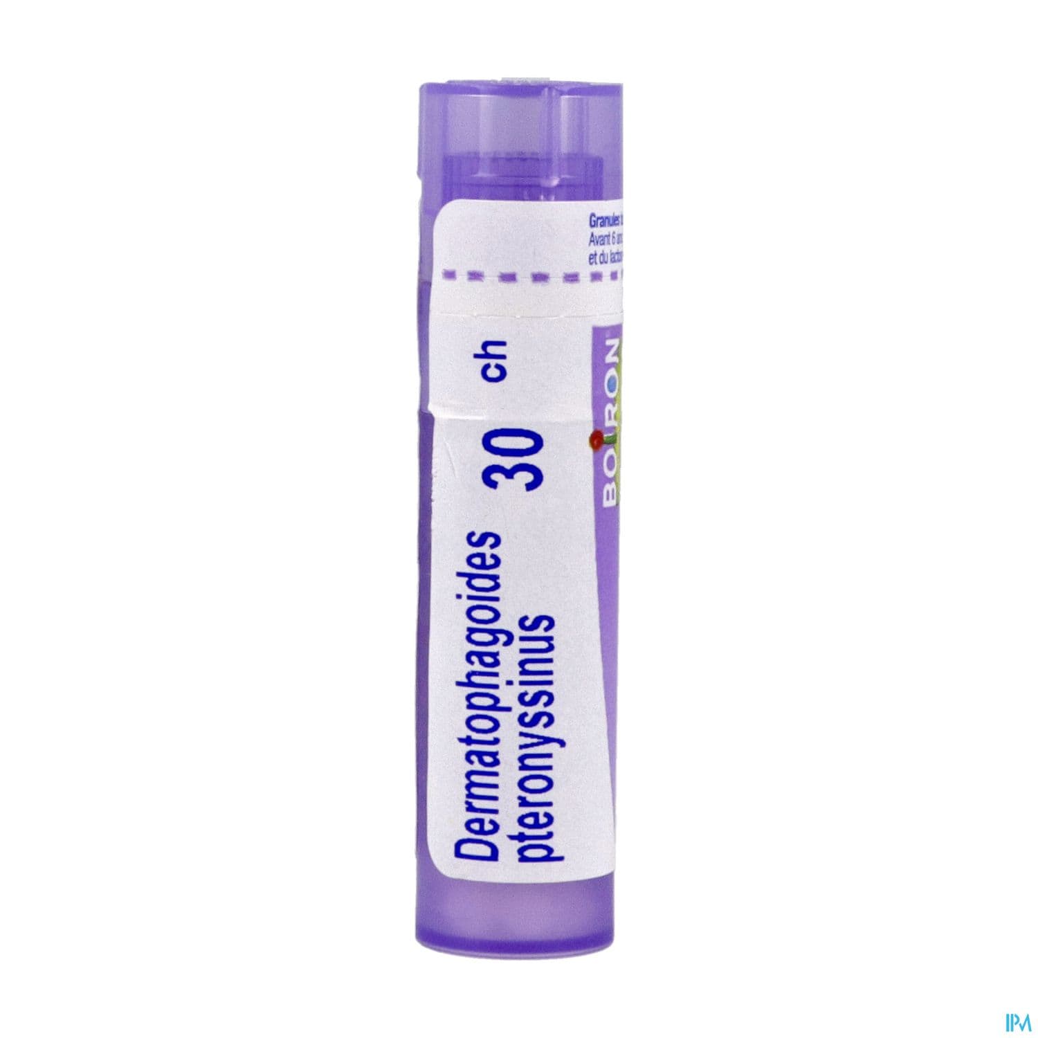 DERMATOPH. PTER. 30CH TG B