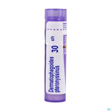 DERMATOPH. PTER. 30CH TG B