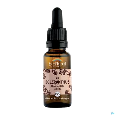 BIOFLORAL FLB28 SCLERANTHUS 20ML