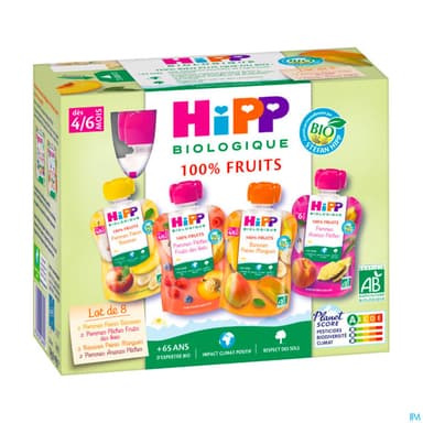 HIPP COMPOTE M PACK +6M GOUR90G 8