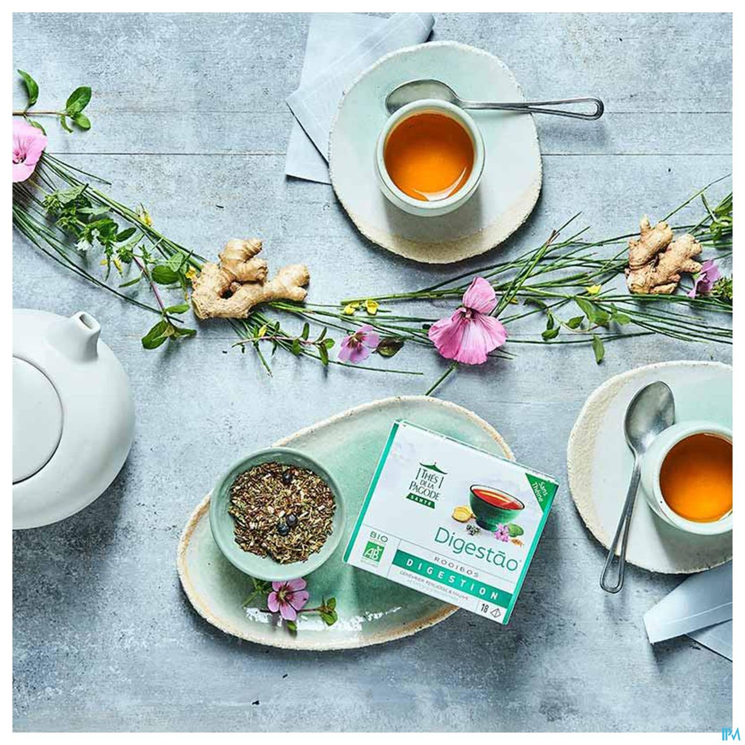 Thes De La Pagode Rooibos Digestao Bio Infusette 18