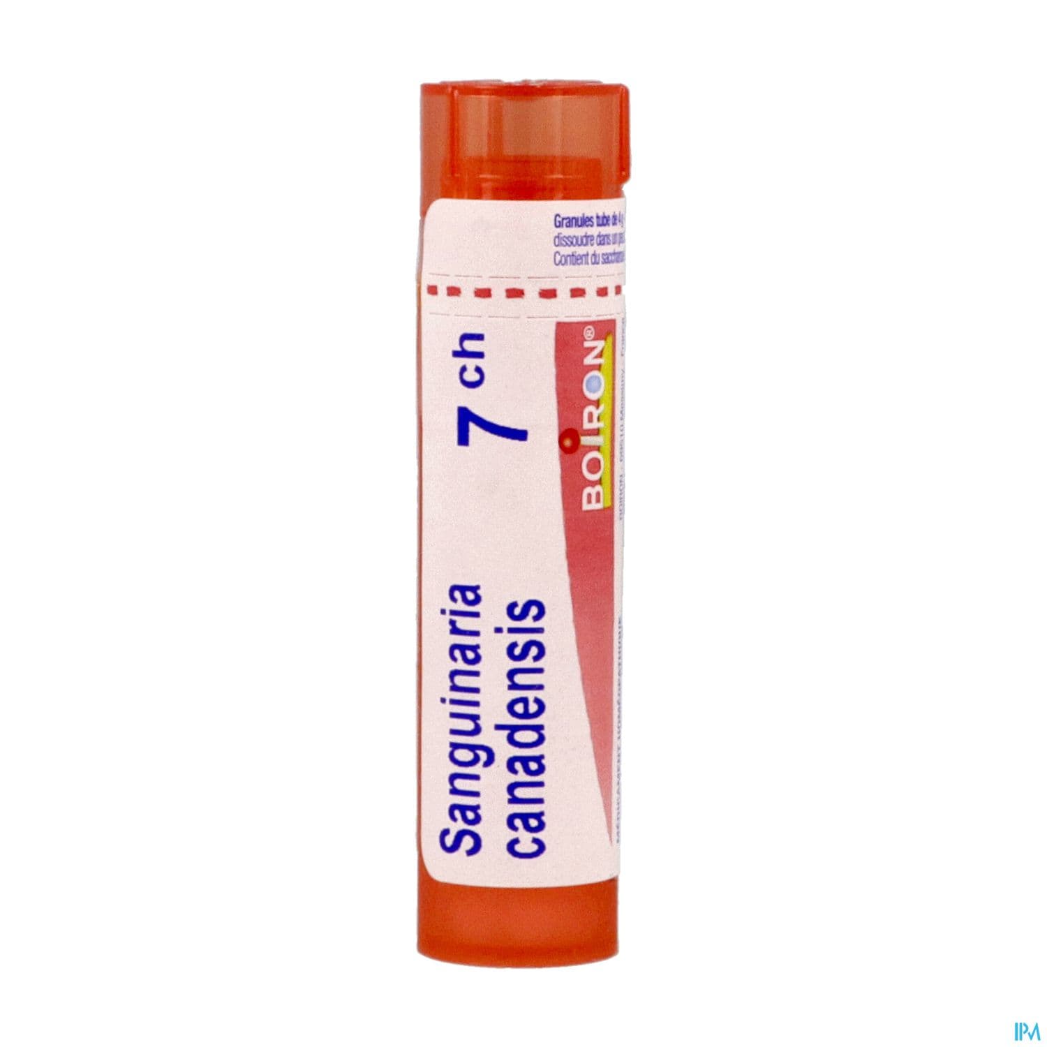 SANGUINARIA CAN. 7CH TG B