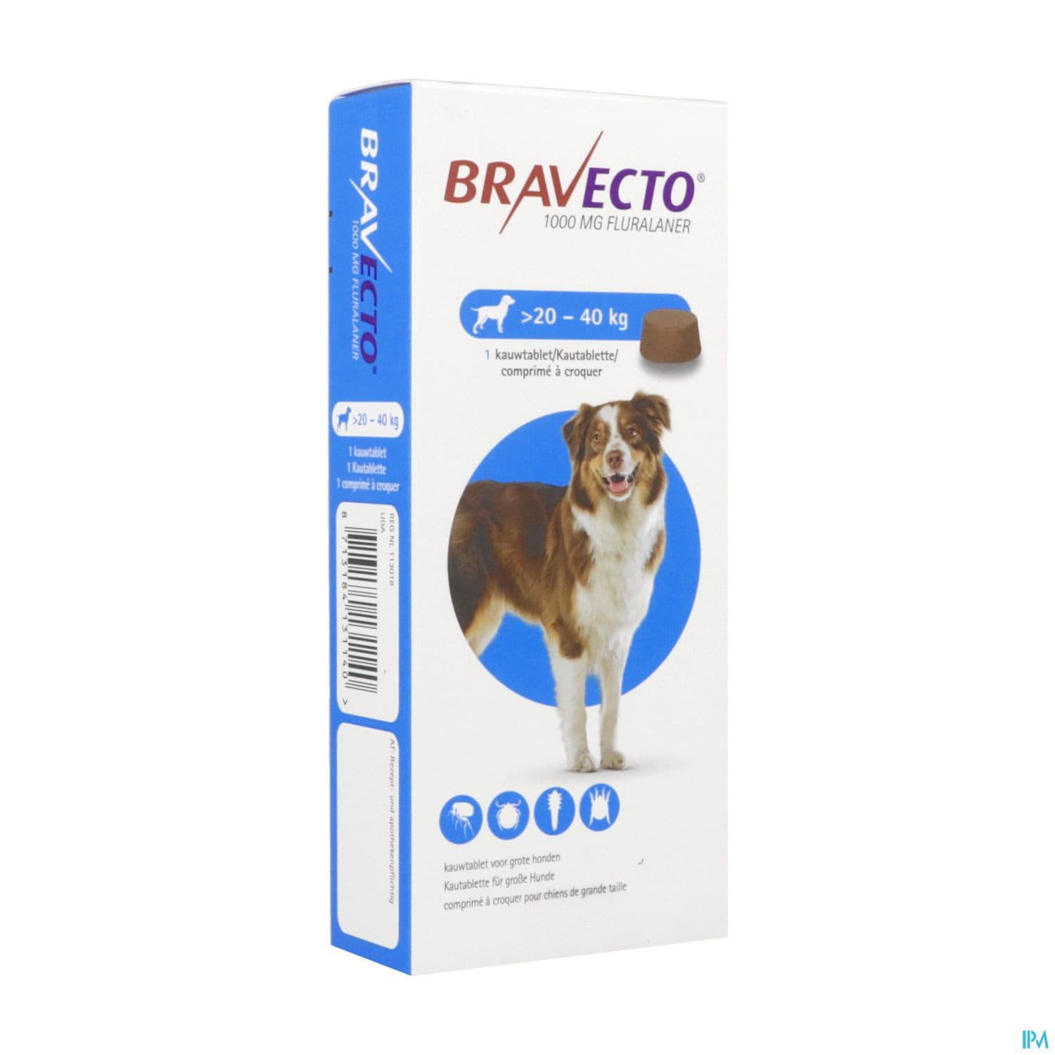 BRAVECTO CHIEN 20KG-40KG CPR 1