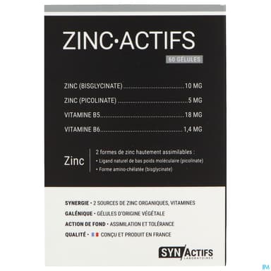 Synactifs Zinc Actifs Gelule 60
