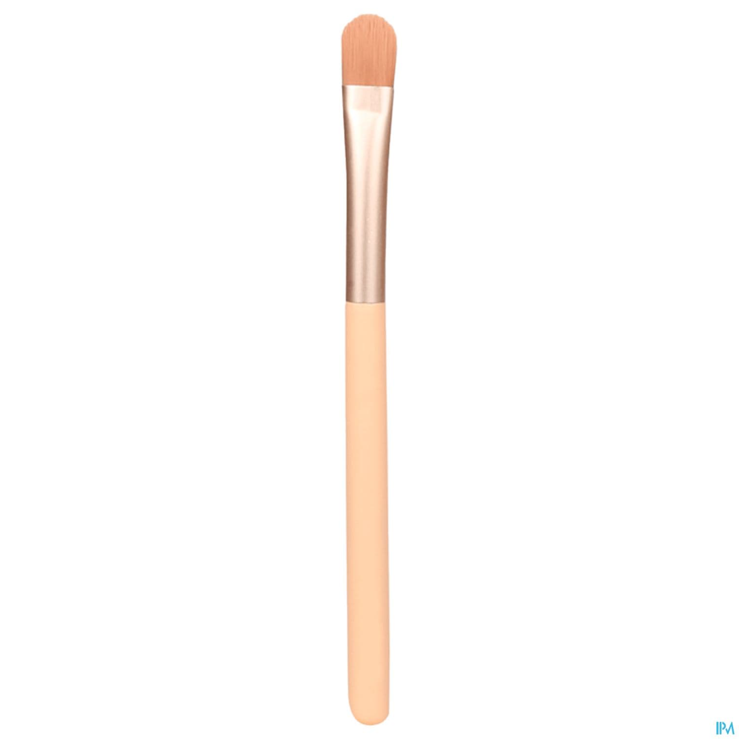 Charlotte Bio Pinceau Special Paillettes 1 Unite