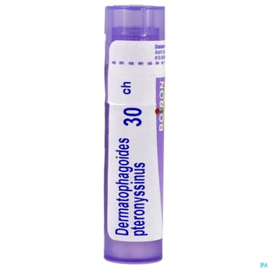 DERMATOPH. PTER. 30CH TG B