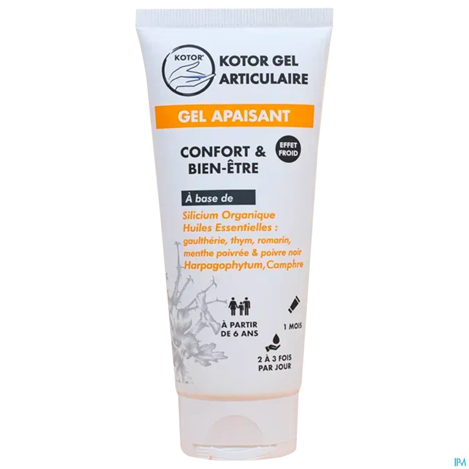 KOTOR GEL ARTICULAIRE APAIS 100ML