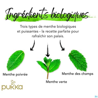 PUKKA INFUS 3MENTHE SACH 20