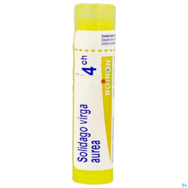SOLIDAGO VIR.AUR 4CH TG B