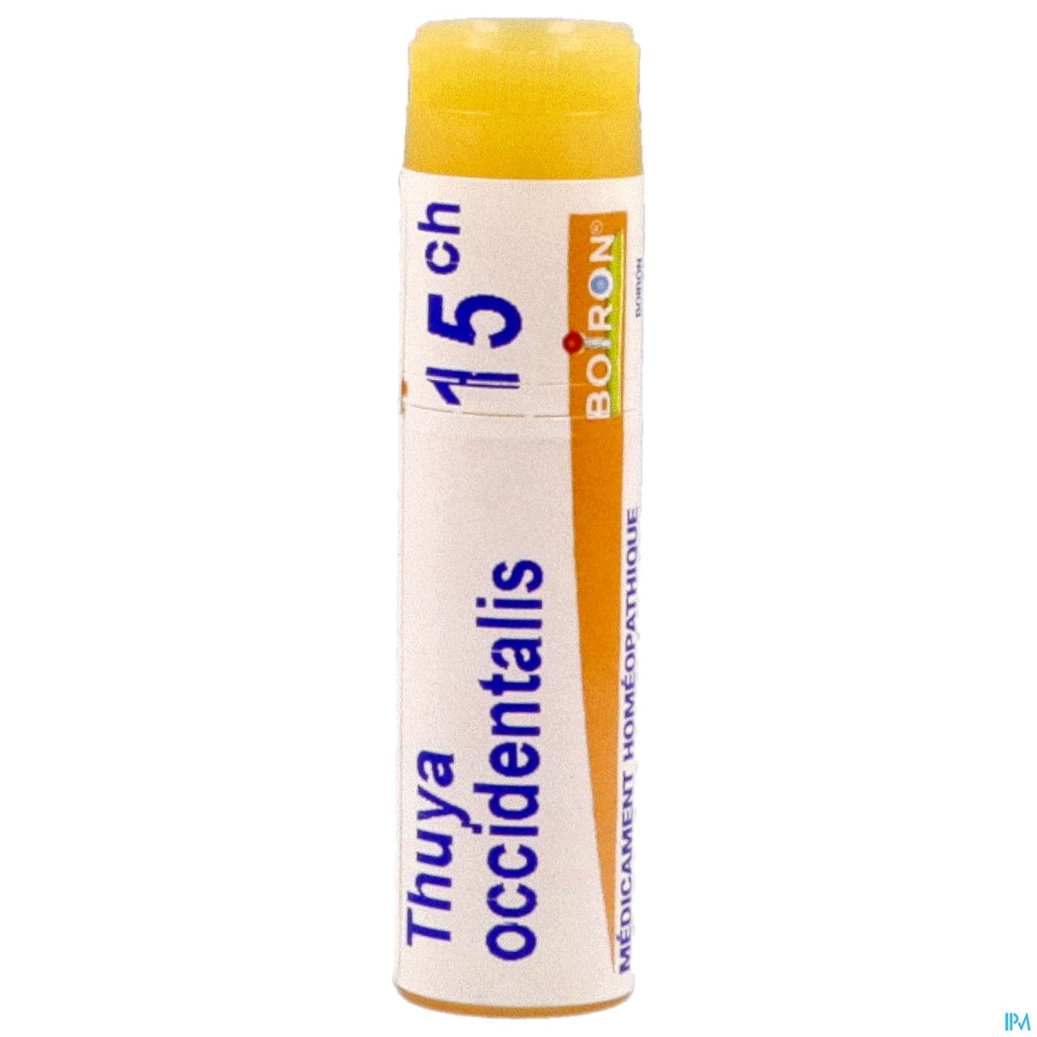 THUYA OCCIDENT. 15CH DO GL B