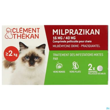 CLEM/THEK MILPRAZIKAN CHAT CPR 2