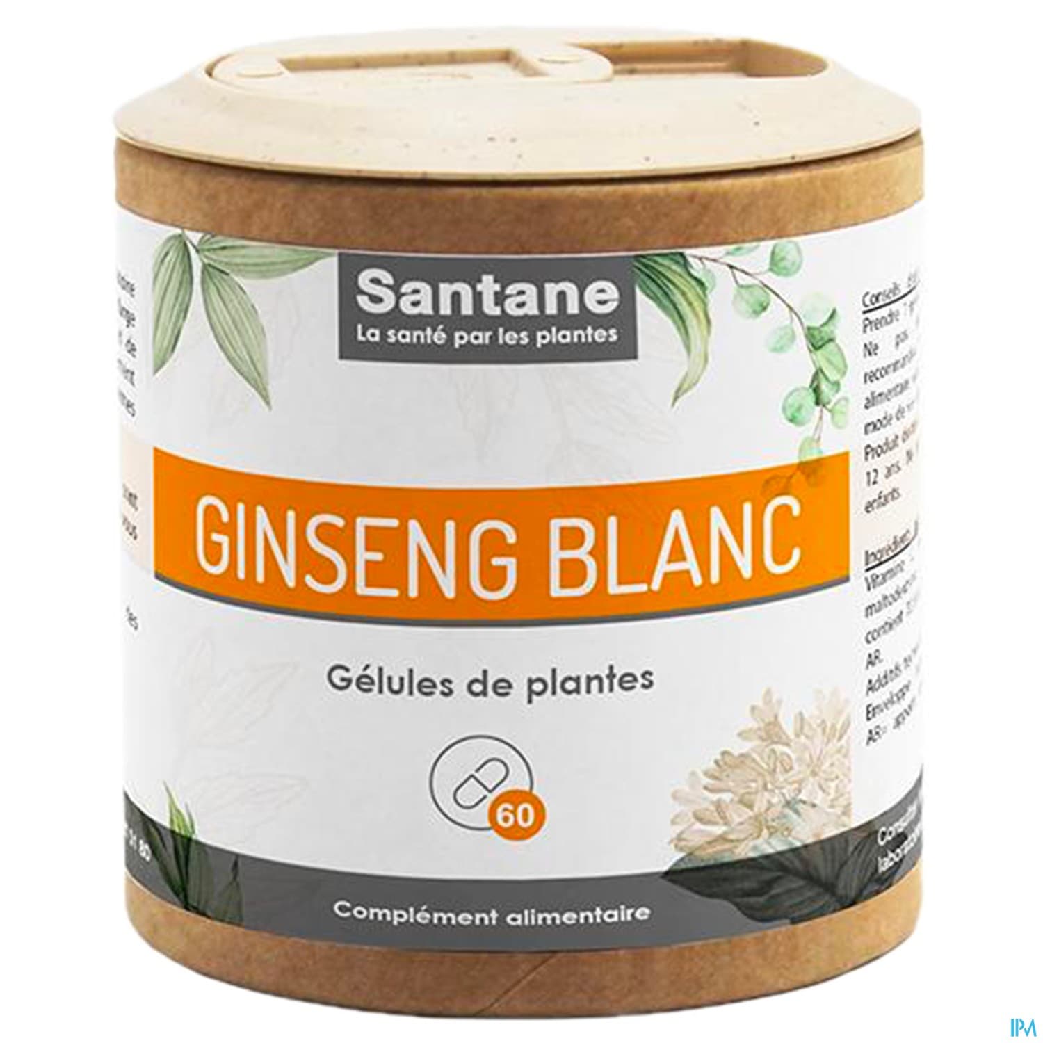 GINSENG BLANC SANTANE GELUL 60
