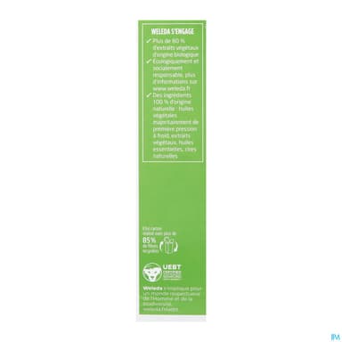 WELEDA HLE MASS MINC BOULEAU 100ML