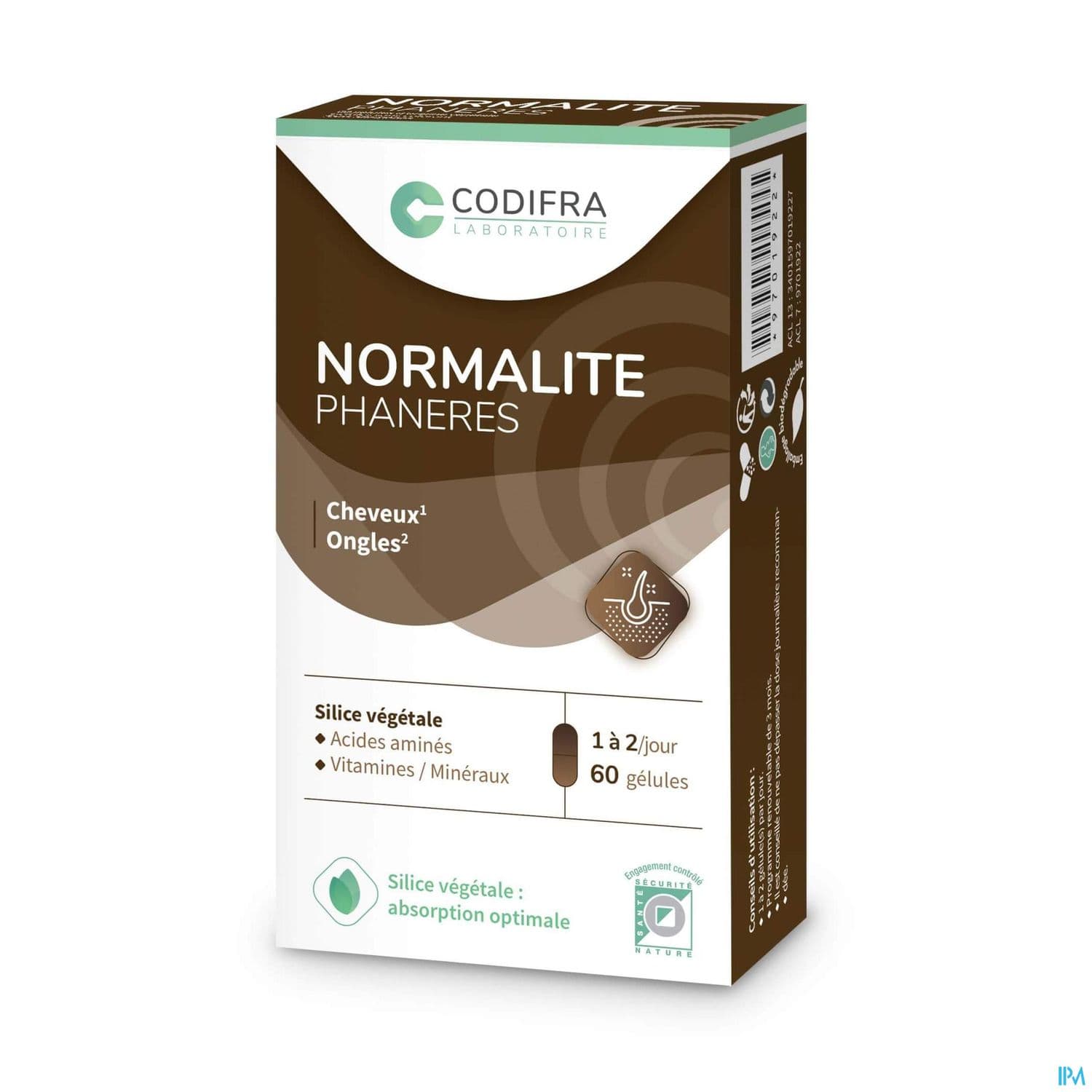 NORMALITE PHANERES GELUL 60