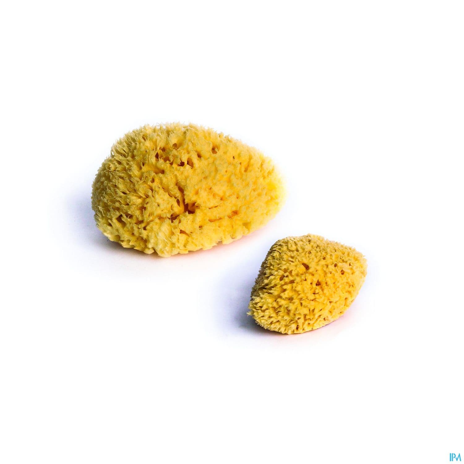 Dbb Eponge Naturelle X2