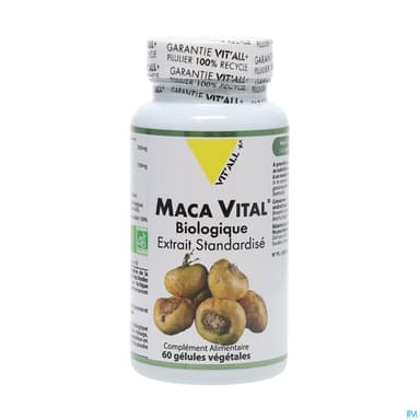 VIT ALL+ MACA500MG EX/STD CPR60