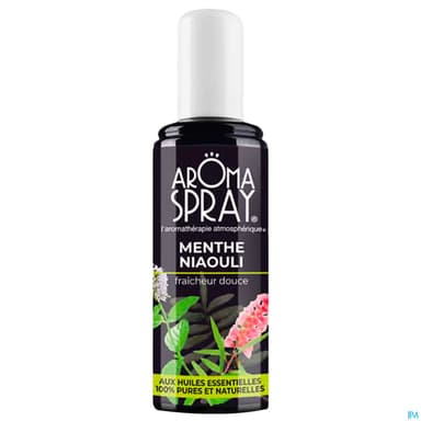531 Aromaspray Menthe Niaouli Spray 100ml