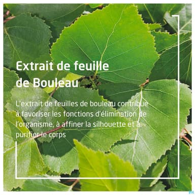 WELEDA CR DCH GOMM BOULEAU 150ML