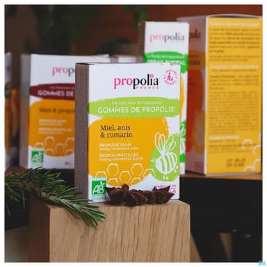 Propolia Gommes Anis Bio Sachet 45g
