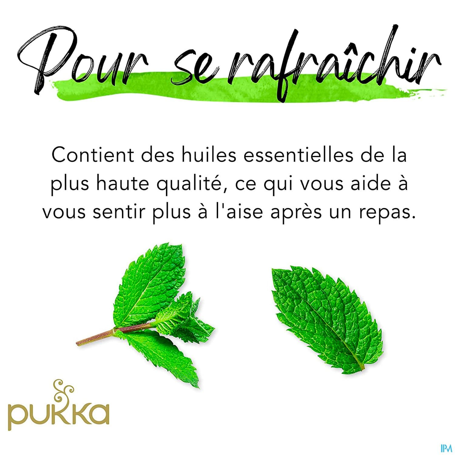 PUKKA INFUS 3MENTHE SACH 20