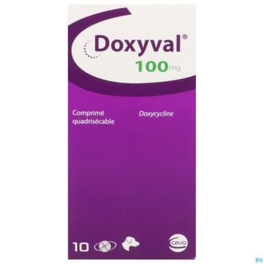 Doxyval 100mg Quadri Comprime Quadrisecable 10