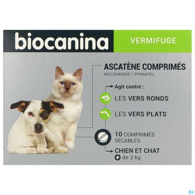 Ascatene Comprime Chien Chat 10