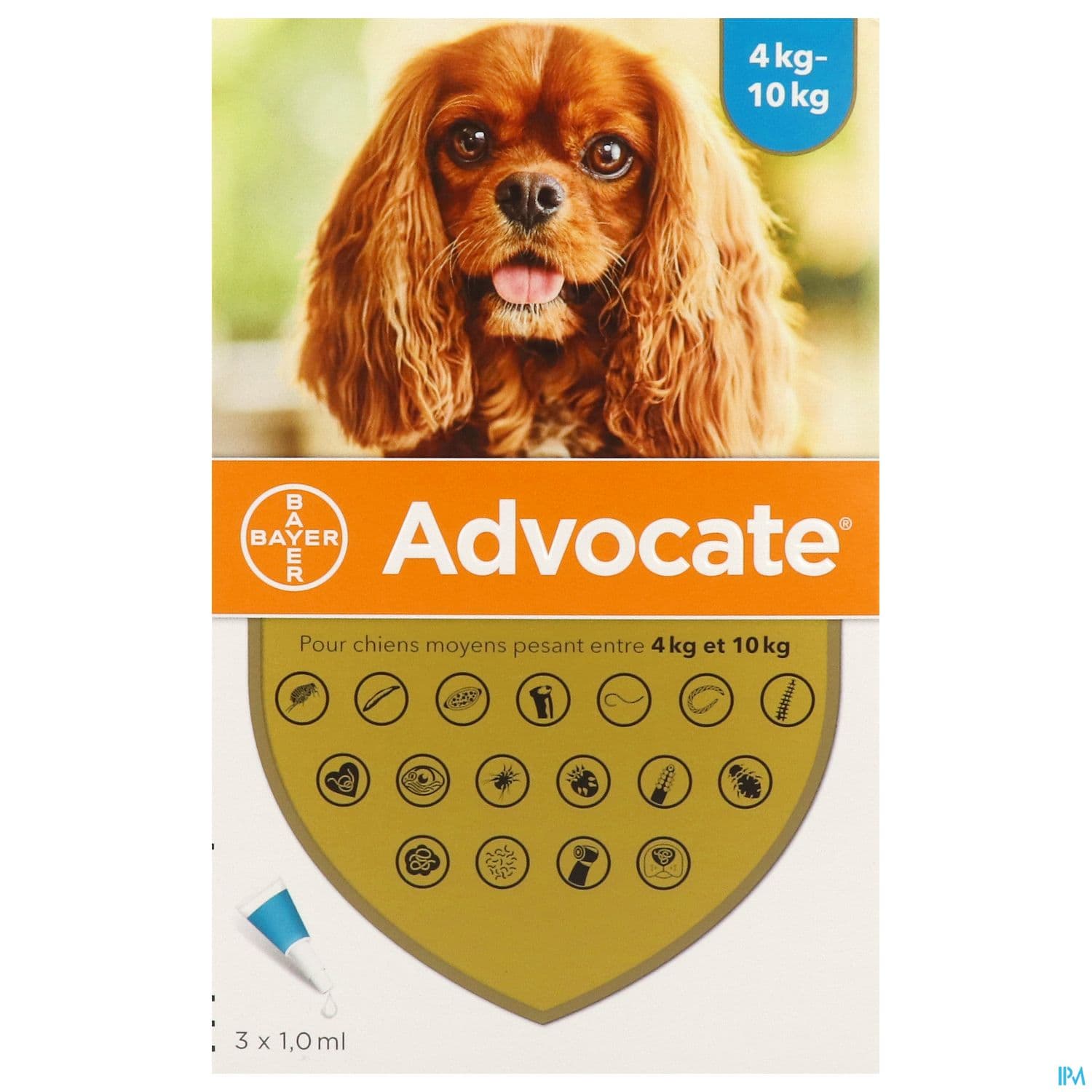 Advocate Chien Moyen Spot On Solution 1ml X 3