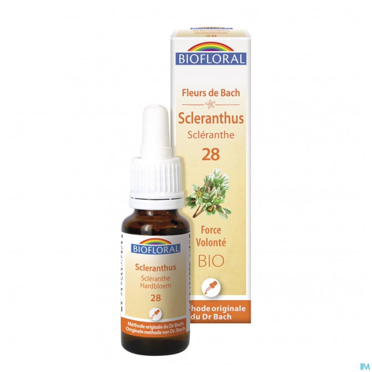 BIOFLORAL FLB28 SCLERANTHUS 20ML