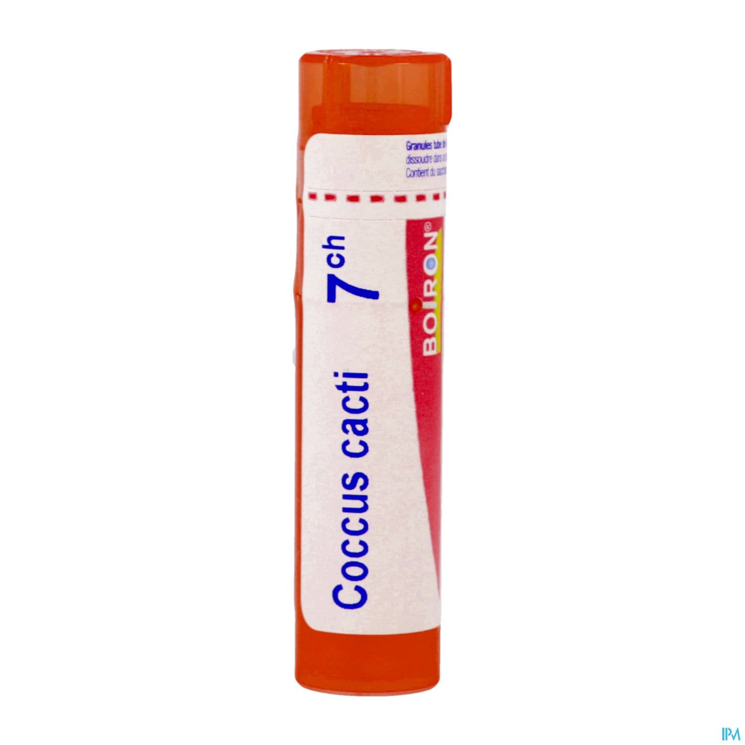 COCCUS CACTI 7CH TG B