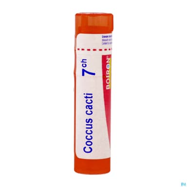 COCCUS CACTI 7CH TG B