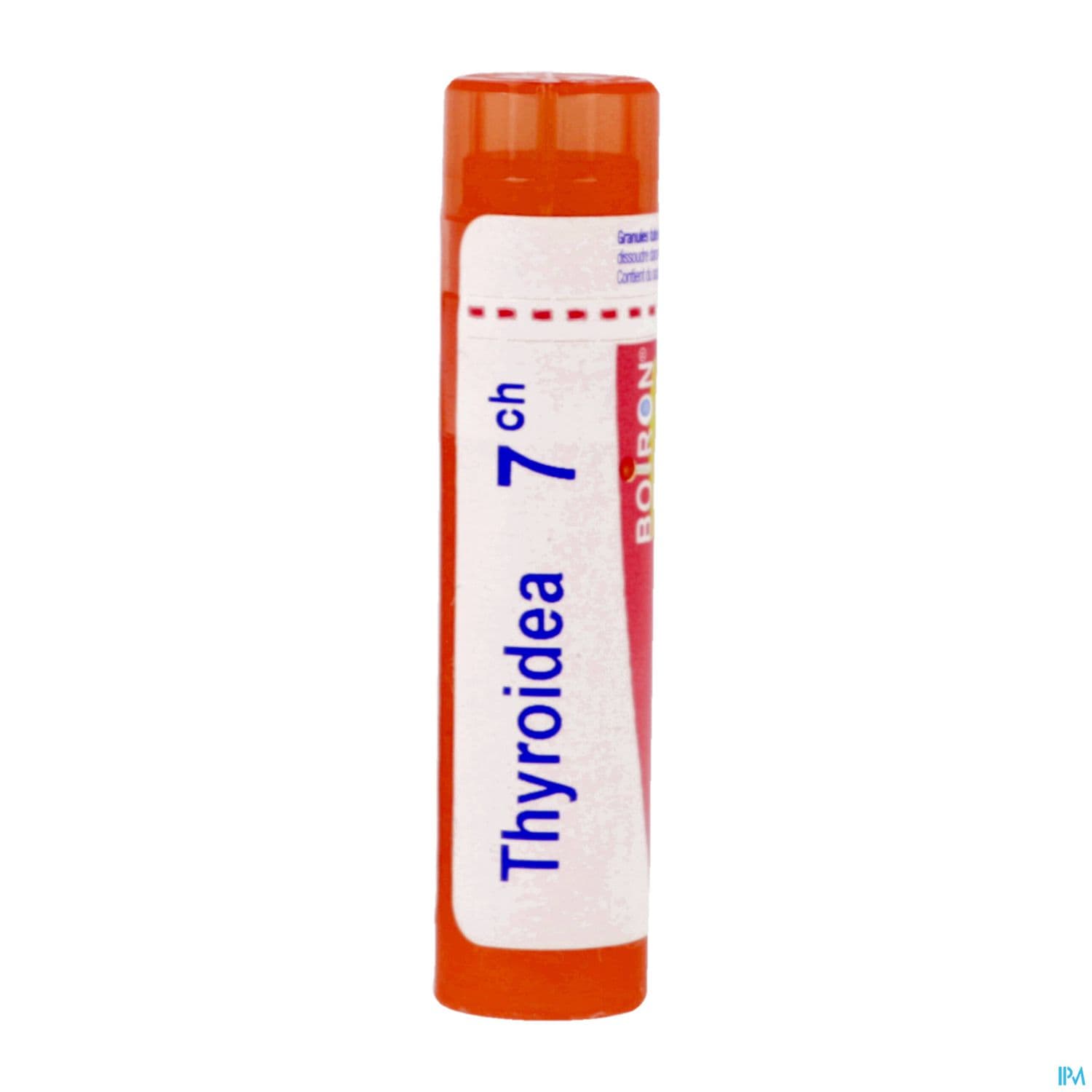 THYROIDEA 7CH TG B