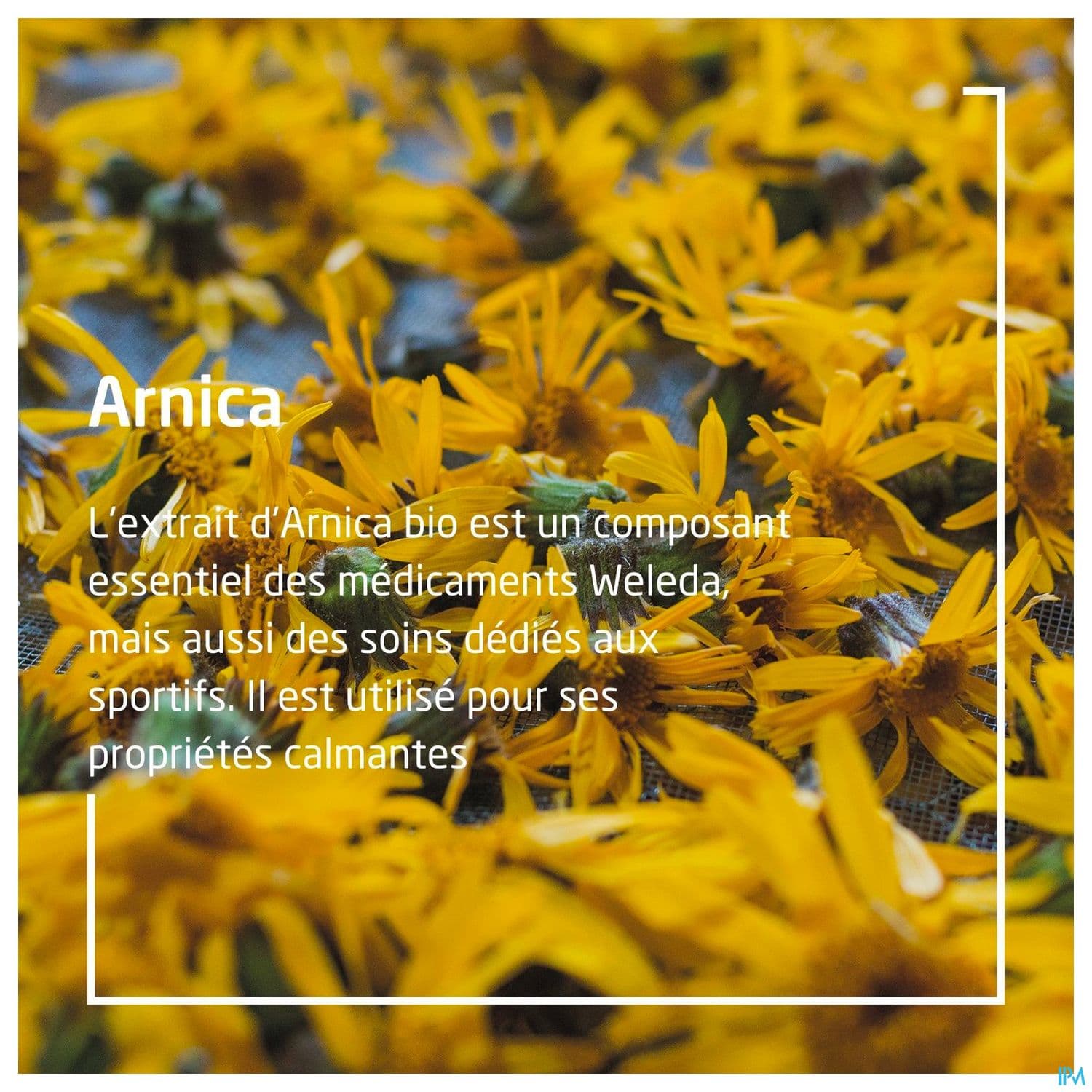 WELEDA HLE MASSAG ARNICA 200ML