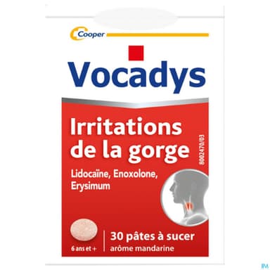 VOCADYS PATE 30