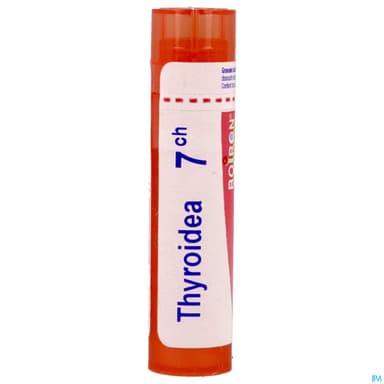 THYROIDEA 7CH TG B
