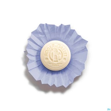 RG SAV PARF BOIS DE SANTAL 100G