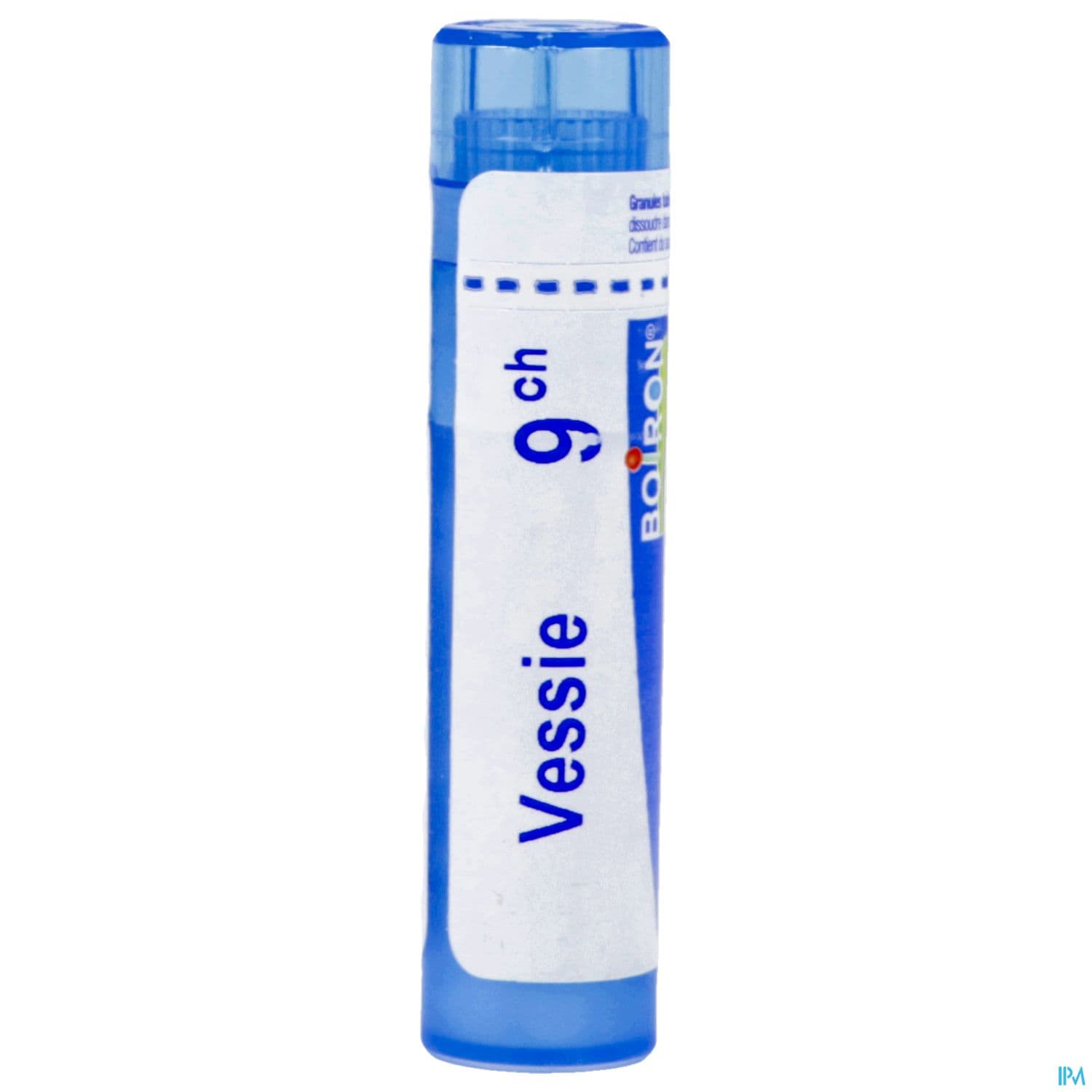 VESSIE 9CH TG B