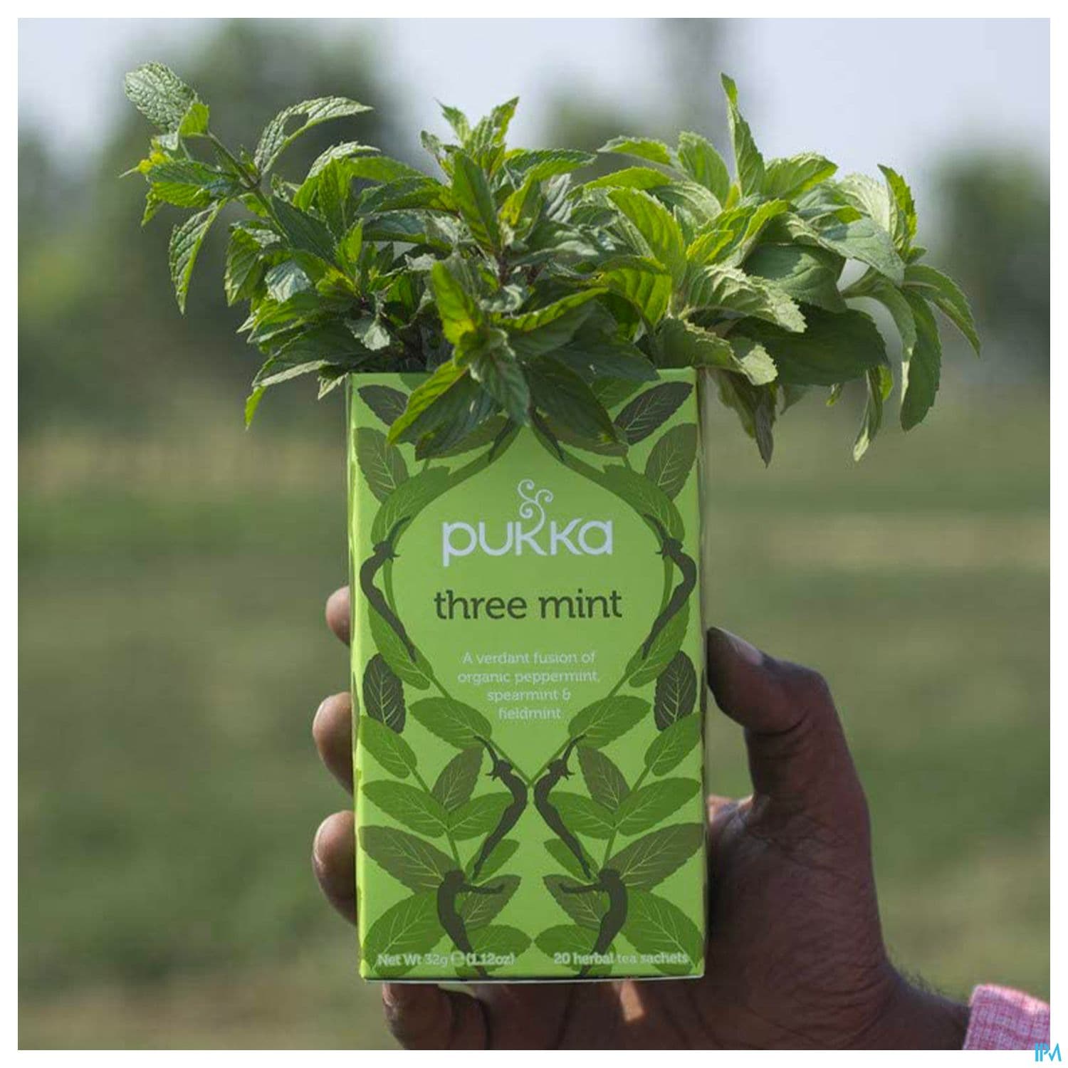 PUKKA INFUS 3MENTHE SACH 20