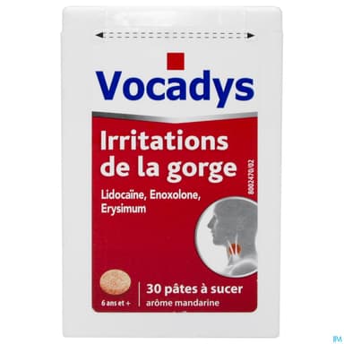 VOCADYS PATE 30