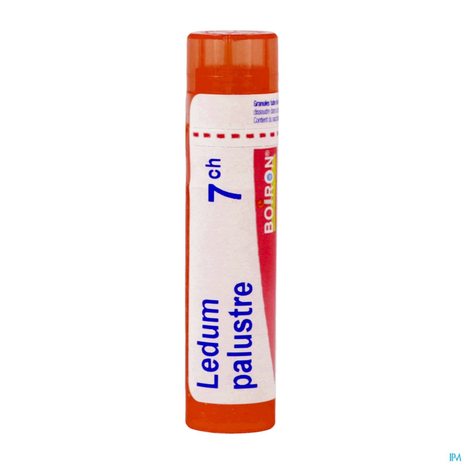 LEDUM PALUSTRE 7CH TG B