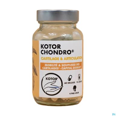 Kotor Chondro Gelule 60
