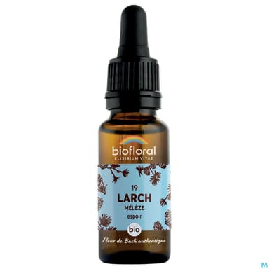 Biofloral 19 Larch. Meleze Compte Gouttes Bio Demeter 20ml