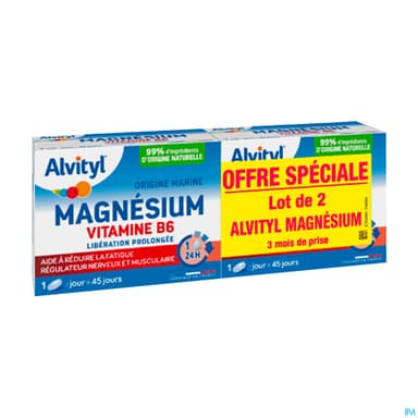 Alvityl Magnesium Vitamine B6 Comprime Liberation Prolongee 45 X2