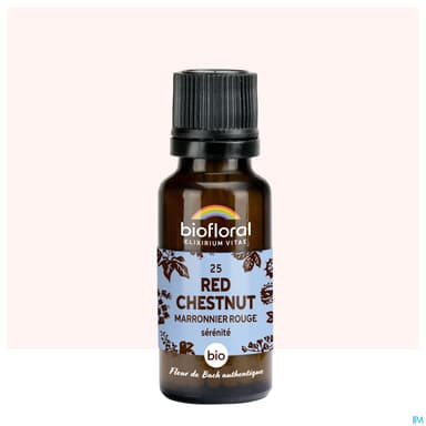 Biofloral 25 Red Chestnut Marronier Rouge Compte Gouttes Bio Demeter 20ml