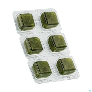 ELGYDIUM FRESH POCKET PAST SUC 12
