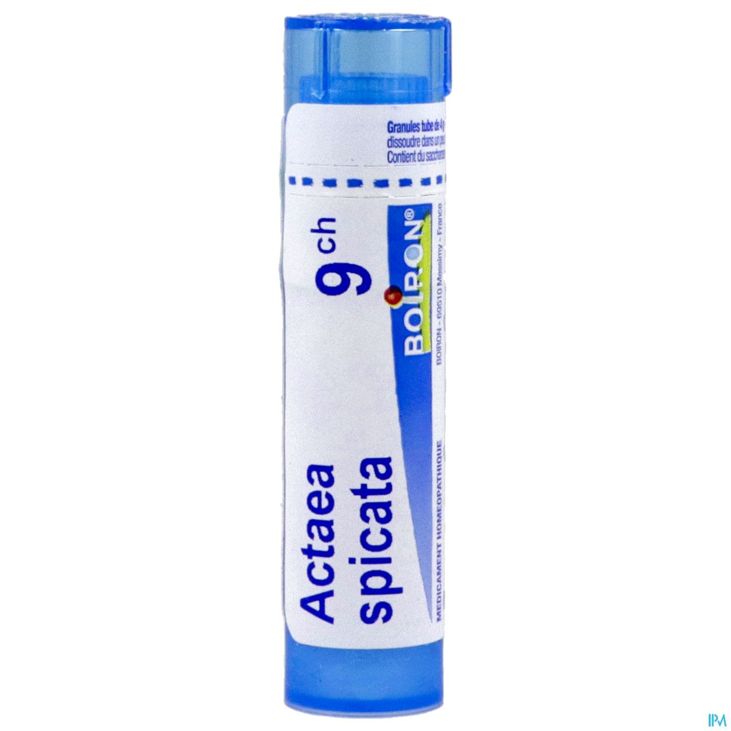 ACTAEA SPICATA 9CH TG B