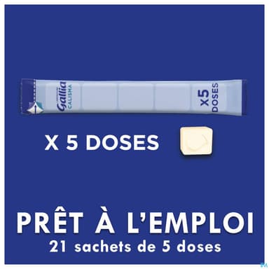 GALLIA CALISMA 1 POCKET PDR SACH21