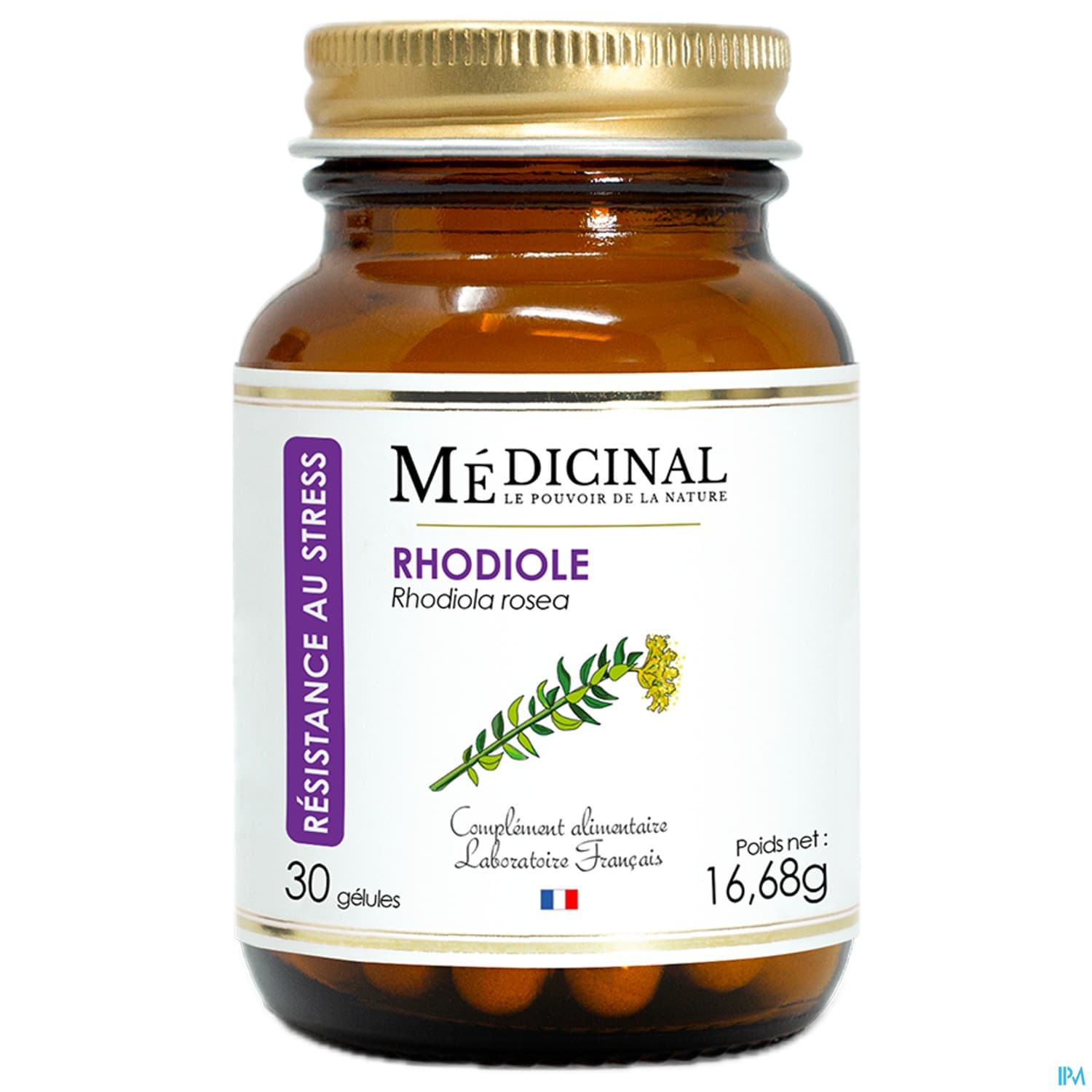 Medicinal Rhodiole Gelule 30