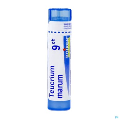 TEUCRIUM MARUM 9CH TG B
