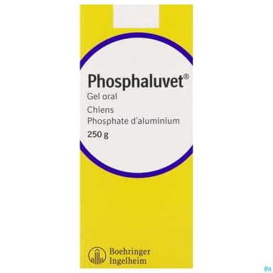 Phosphaluvet Pansement Gastrique Chien Gelee 250g