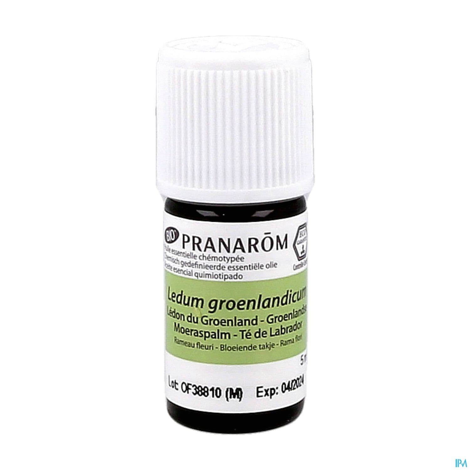 PRANAROM HE BIO LEDON GROENLAND5ML